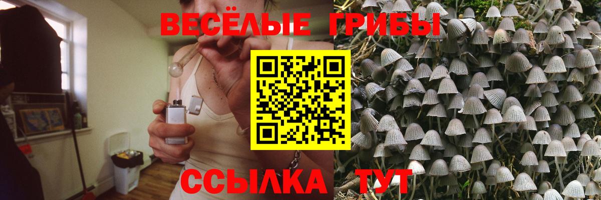 Архангельск  Галлюциногенные грибы ЛСД  Псилоцибиновые грибы мицелий  Вход с VPN 